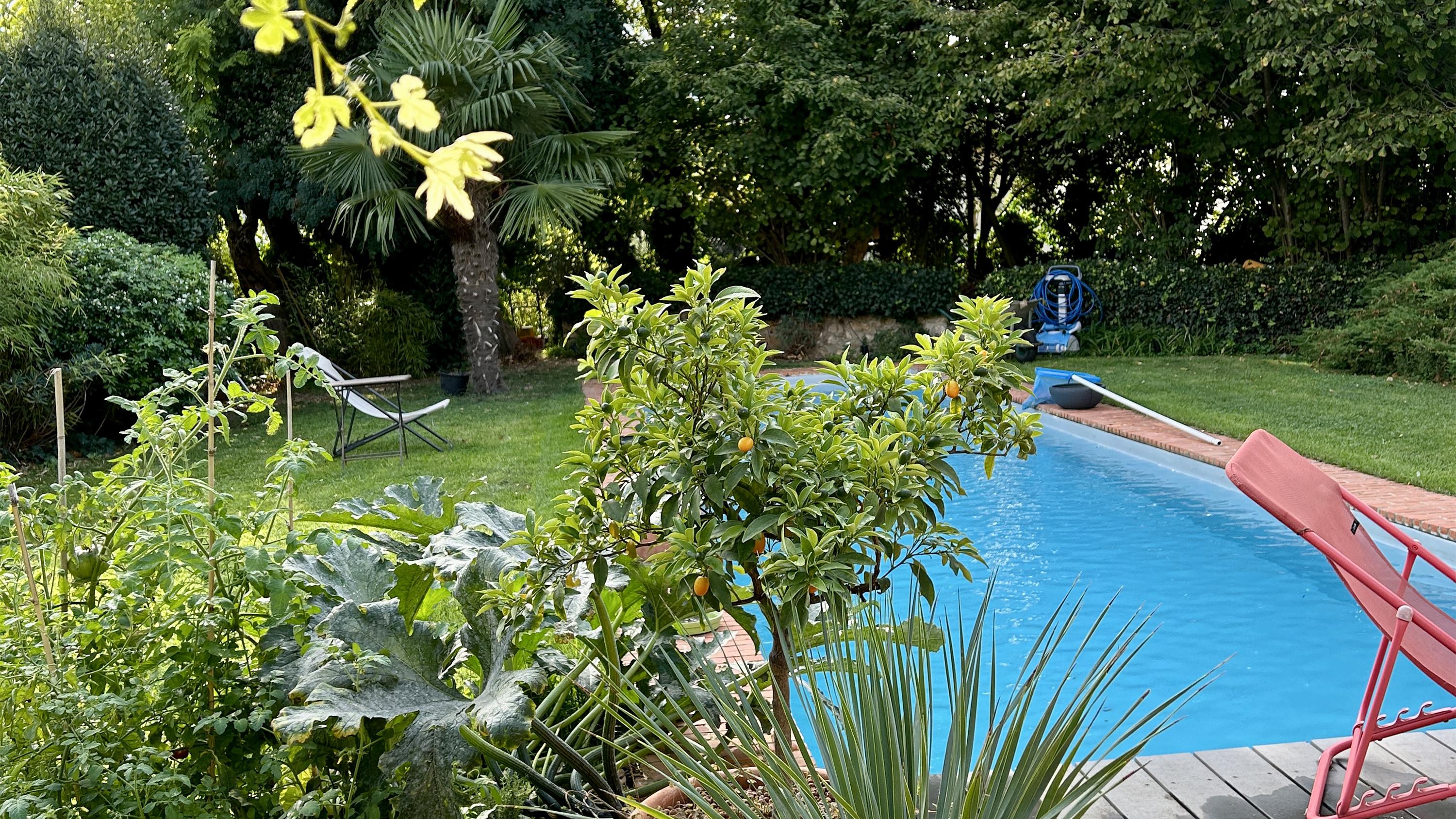 La piscine depuis le jardin